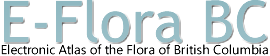 E-Flora BC