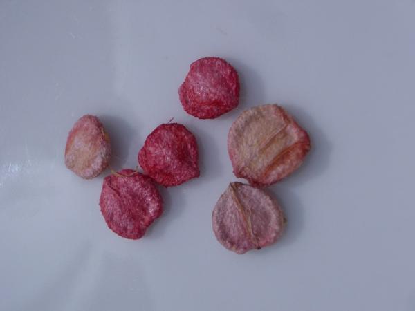 Photo of Viburnum edule by <a href="http://www.cicerosings.blogspot.com">Eileen Brown</a>