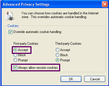 IE Session Cookies