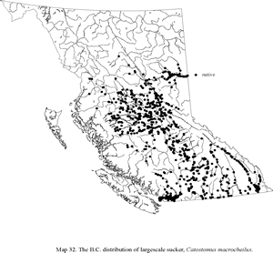 E-fauna Bc: Electronic Atlas Of The Fauna Of Bc (mobile Atlas Page)