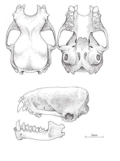 E-Fauna BC: Electronic Atlas of the Fauna of BC (Mobile Atlas Page)