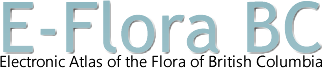 E-Flora BC: Electronic Atlas of the Plants of British Columbia